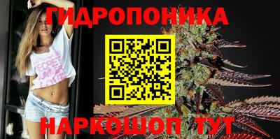 стафф Донецк