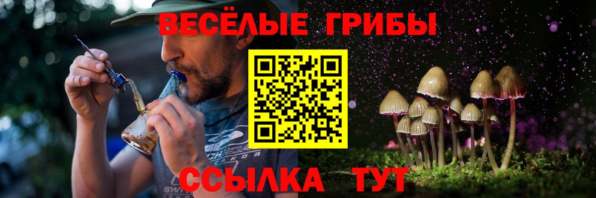 купить наркотики цена  Галлюциногенные грибы мицелий  Вход с VPN  Майский 