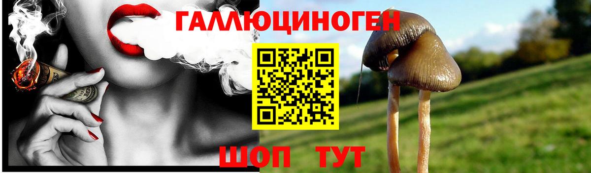 Галлюциногенные грибы мухоморы Майский